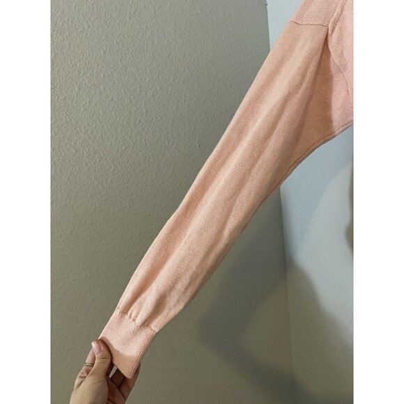 Wilfred Aritzia Pullover Sweater Small Merino Wool Blend Collared V Neck Pink - Picture 9 of 16